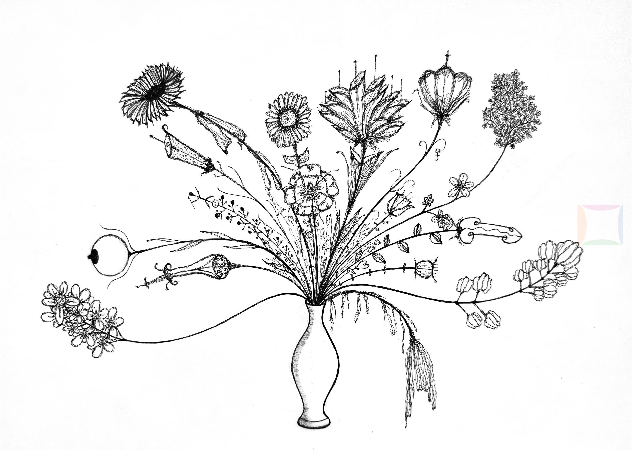 DAVID-UNDERLAND-DICK FLOWER
